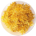 金丝皇菊
