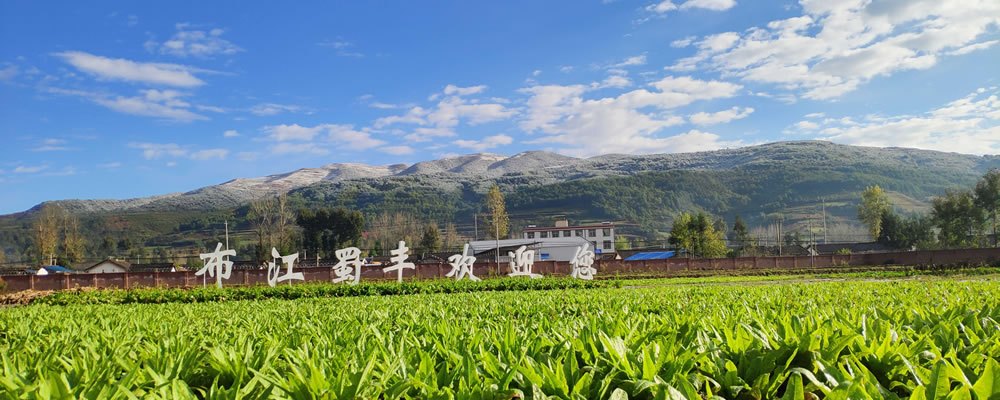 布江蜀丰现代农业科技示范园园区风光