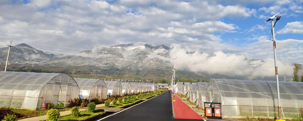 布江蜀丰现代农业科技示范园园区风光