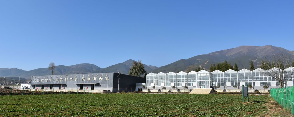 布江蜀丰现代农业科技示范园园区风光